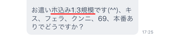 メルパラで実際に出会ったホ込1.3万要求の業者のメッセージ内容