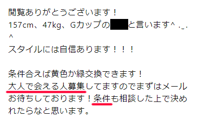 ワクワクメールで「大人の関係で会える」男性を募集していた女性のプロフィールの具体的事例